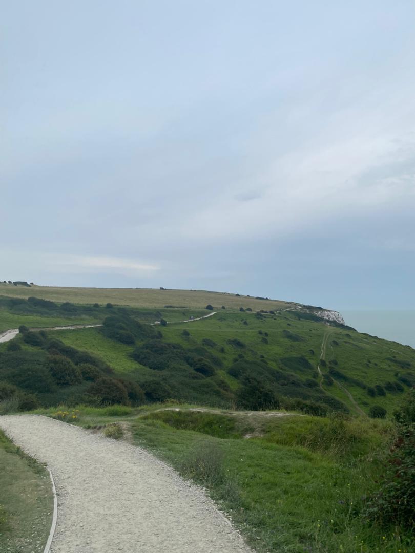 Image 9
