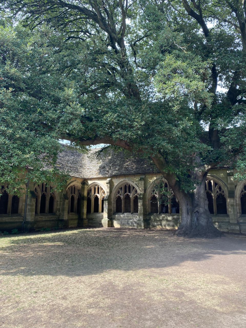 Image 8